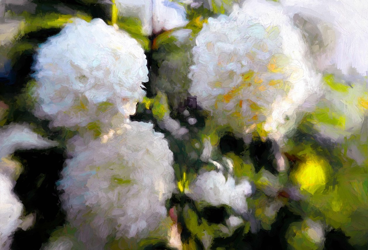 Big Blowsy Blooms, 2018, od Helen White