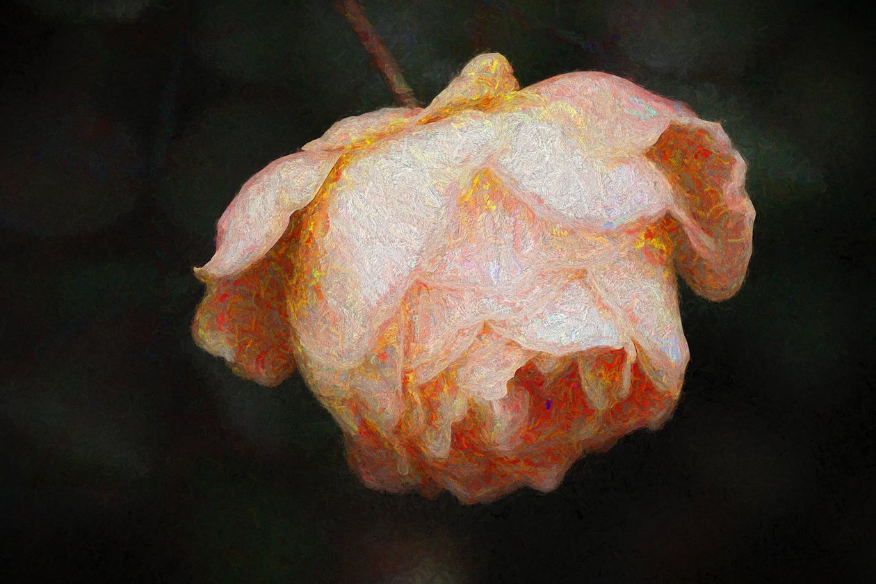 Bloom, 2018, od Helen White