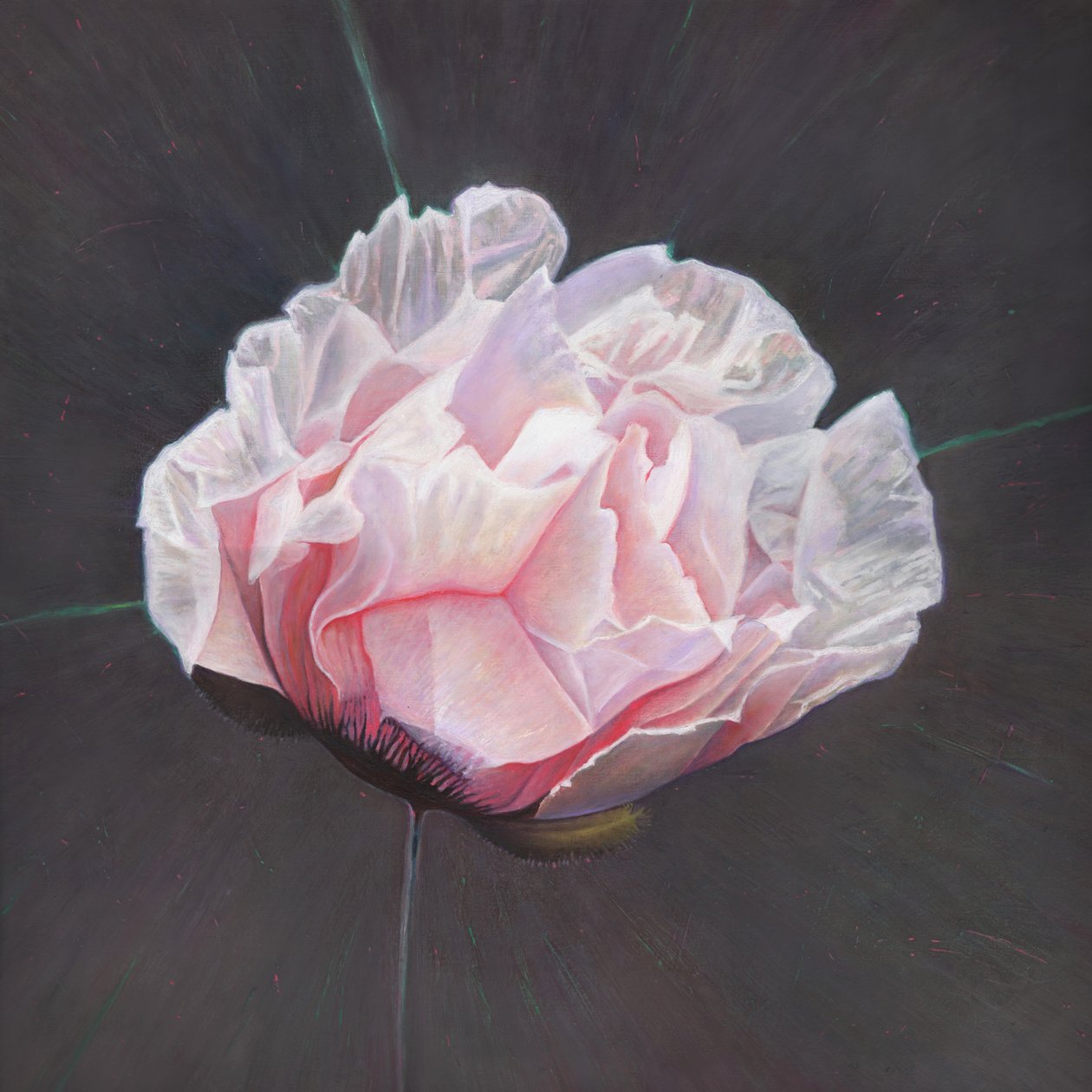 Vznik, 2015, od Helen White