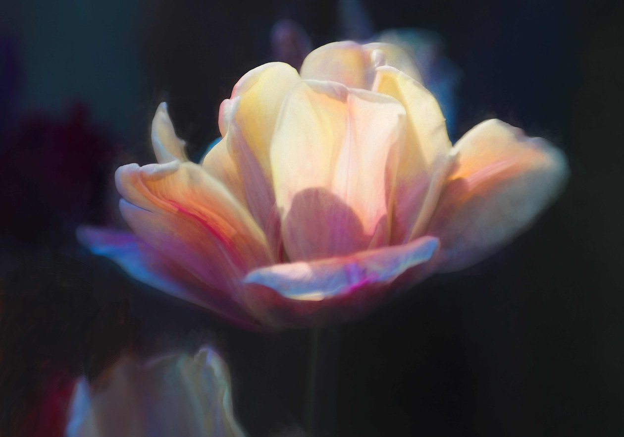 Emergence III, 2018, od Helen White