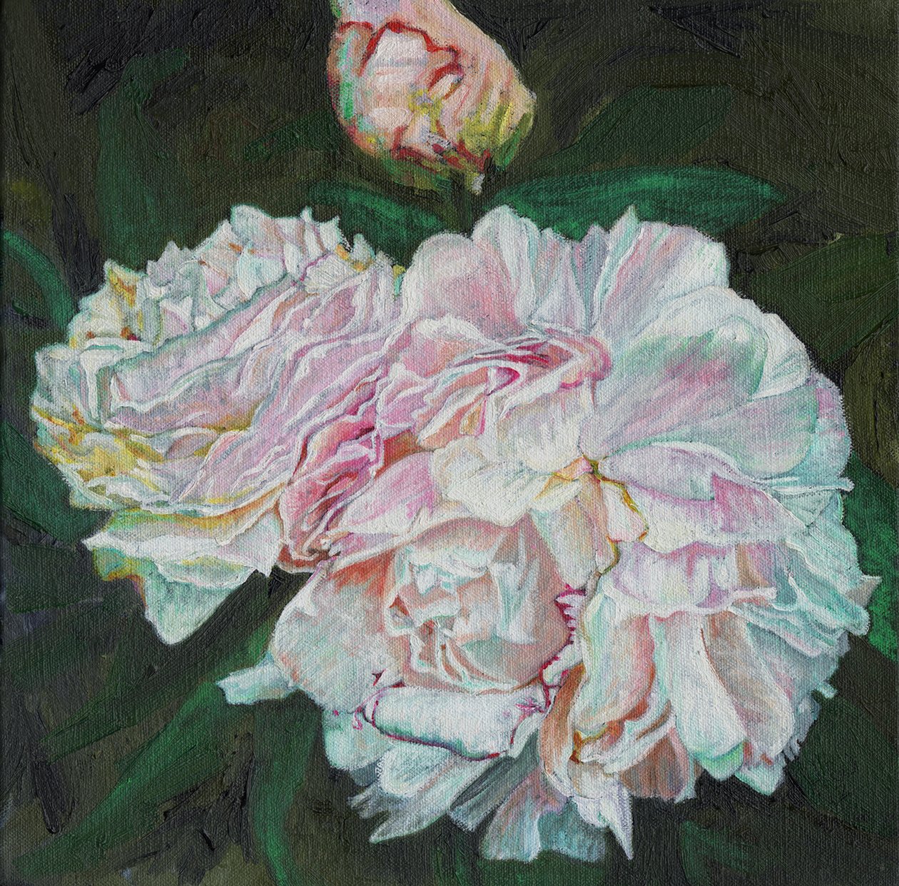 První květy, 2012, od Helen White