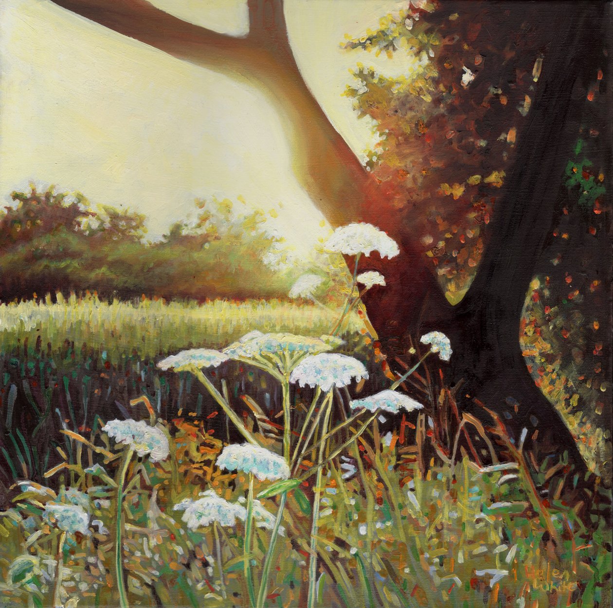 Zlatý živý plot I, 2014, od Helen White