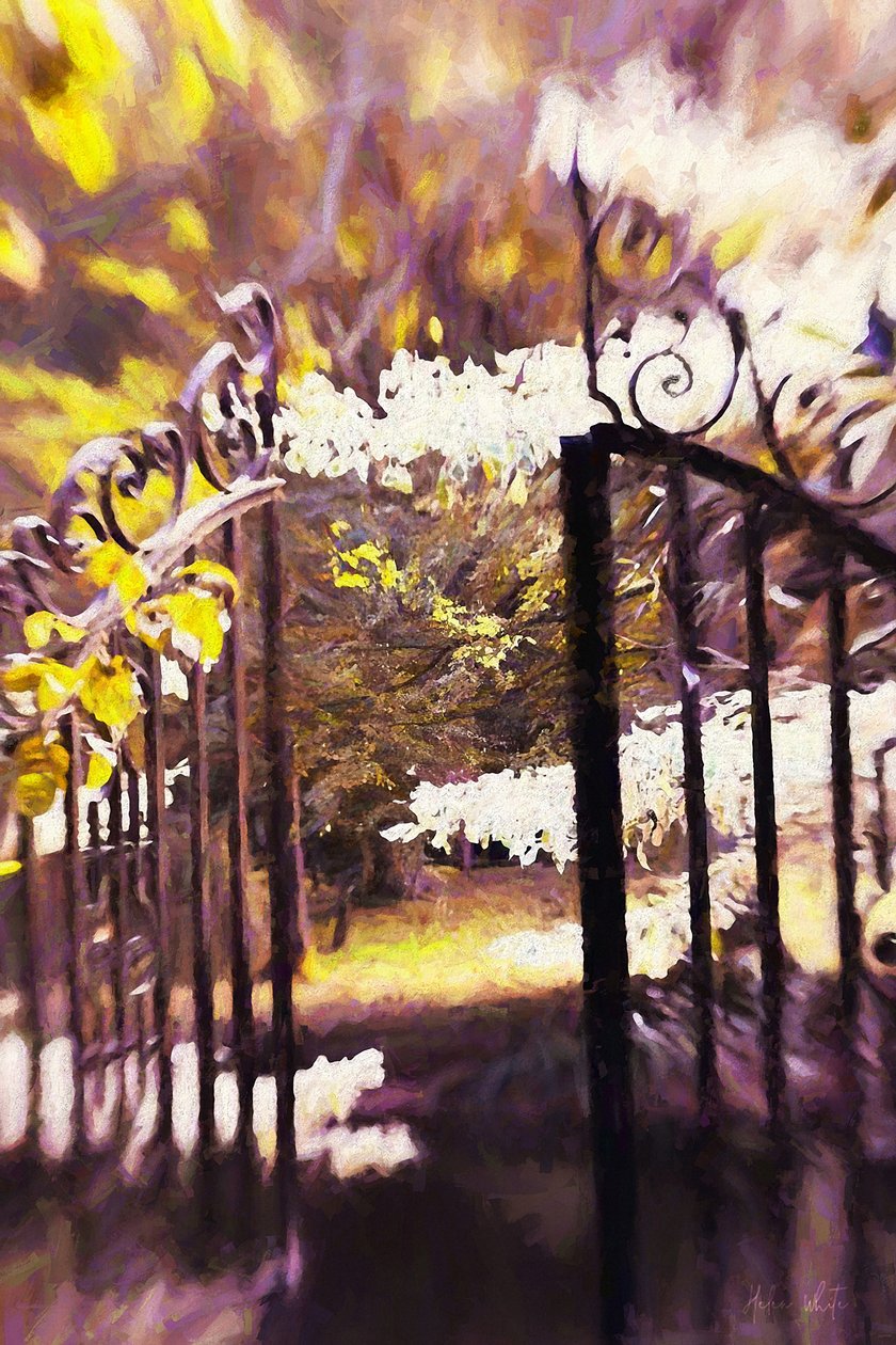Do zahrady, 2018, od Helen White