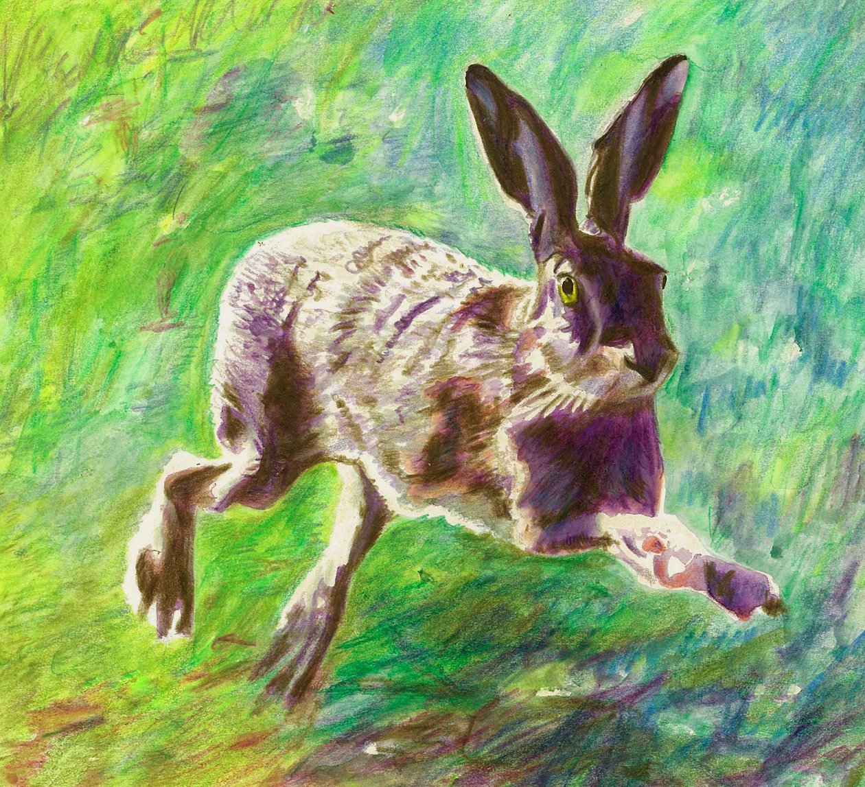 Radostný zajíc, 2011, (barevná tužka na papíře) od Helen White