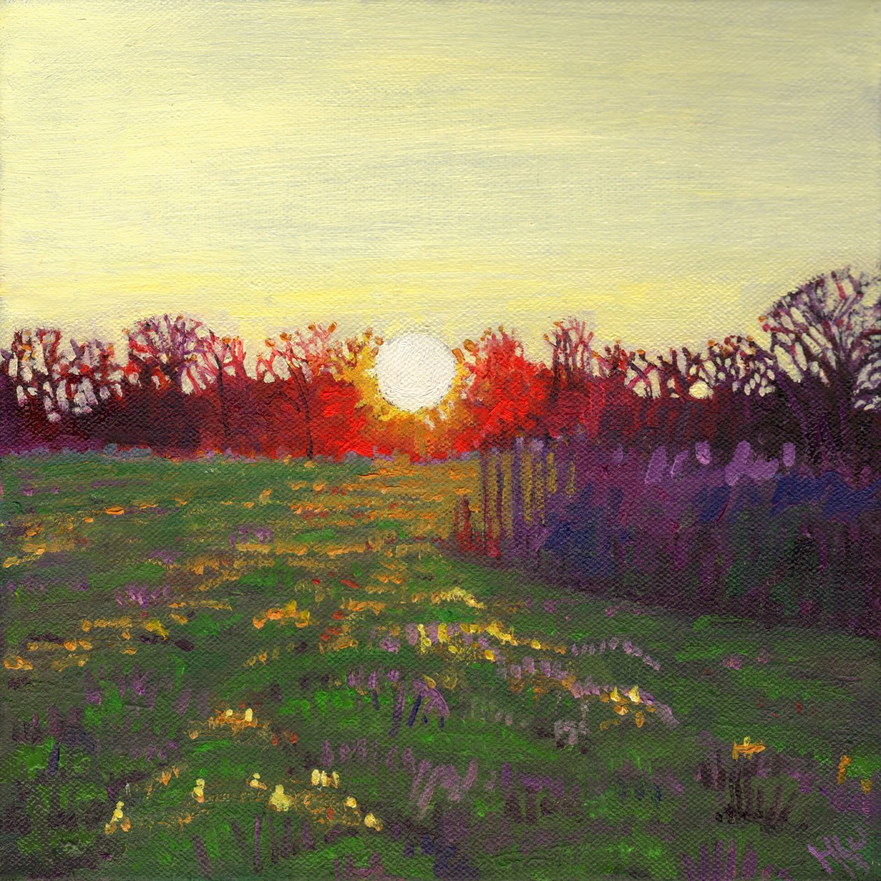 Cesta světla, 2013, od Helen White