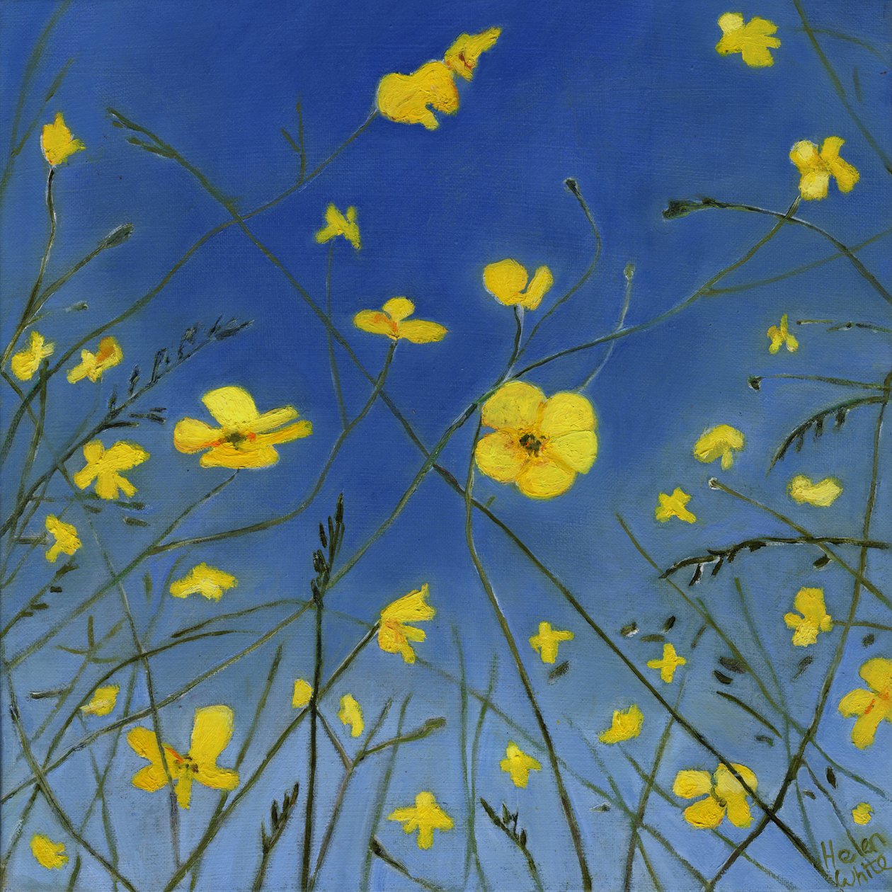 Letní dny a líné cesty, 2015, od Helen White