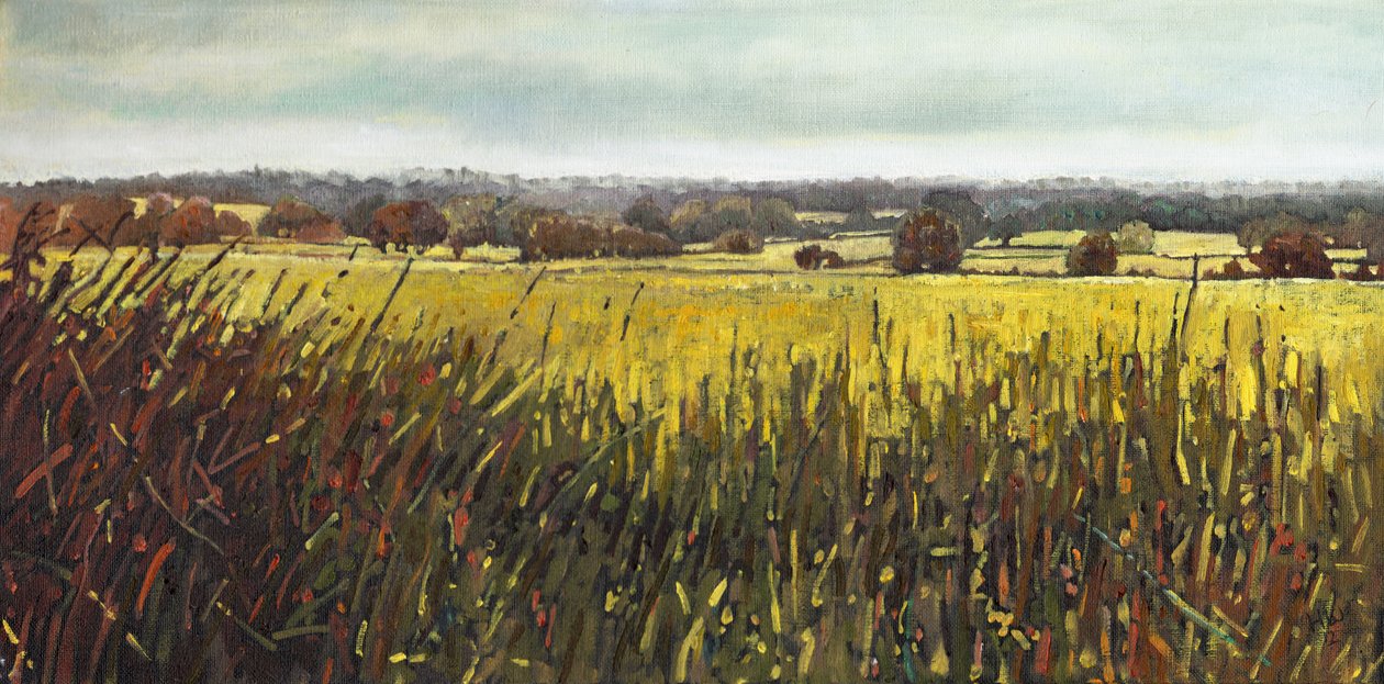 Směrem k Riseley, 2012, od Helen White