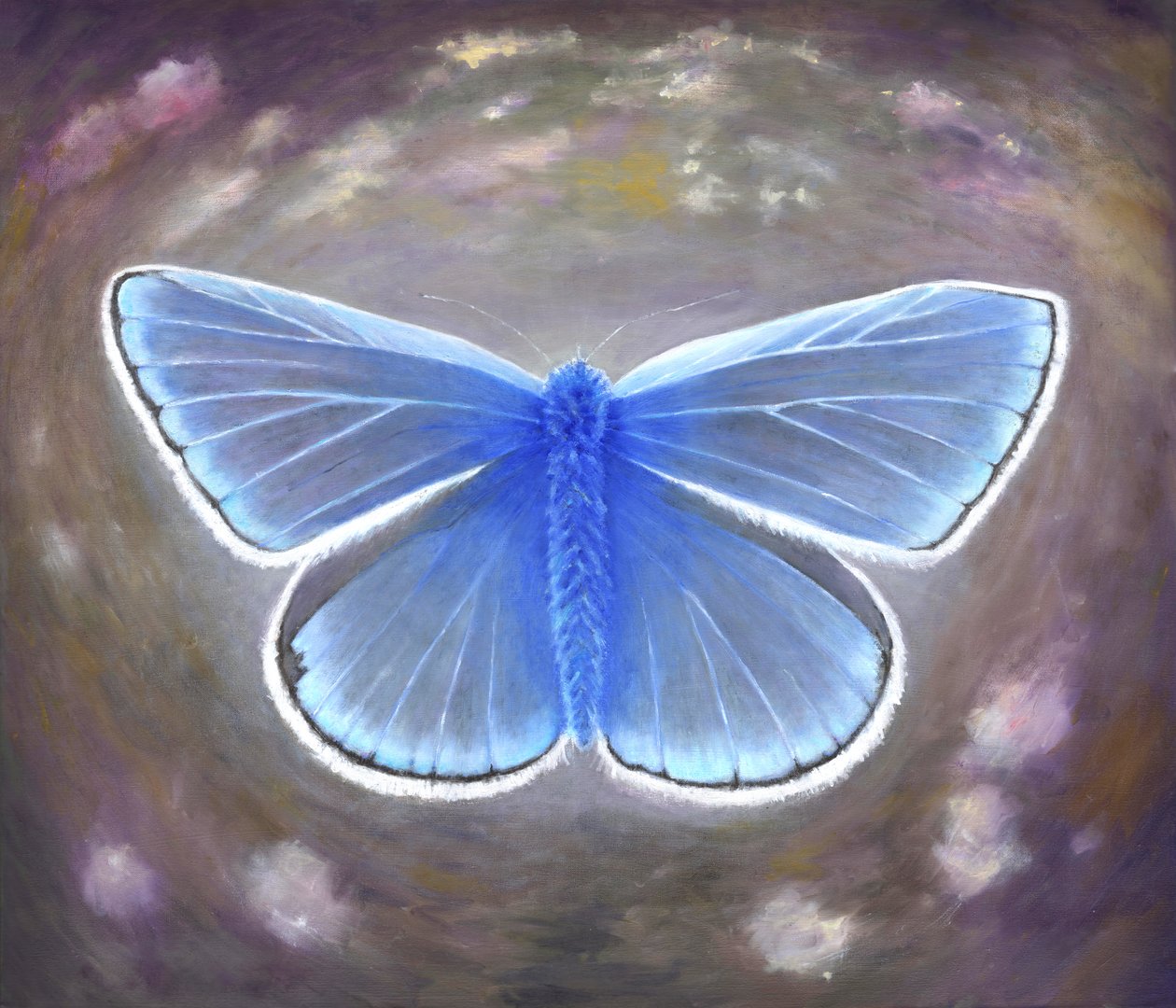 Neobvyklá modrá, 2015, od Helen White