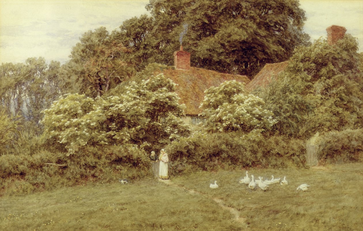 Chata ve Farringfordu, Isle of Wight od Helen Allingham