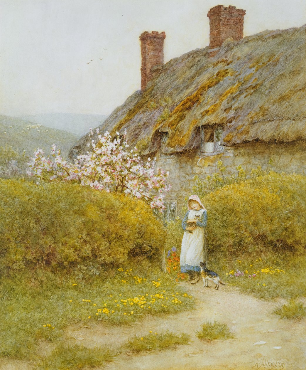 Dorsetshire Cottage (Wc na papíře) od Helen Allingham