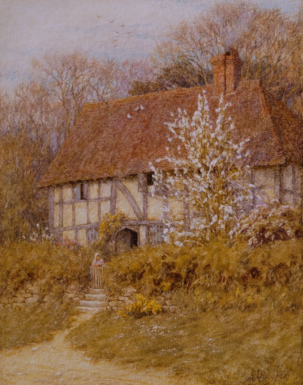 A Surrey Cottage (akvarel na papíře) od Helen Allingham