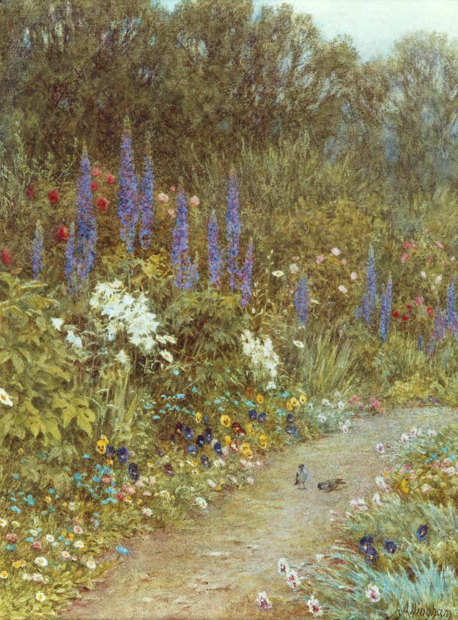 Zahrada kolem její chalupy (akvarel) od Helen Allingham