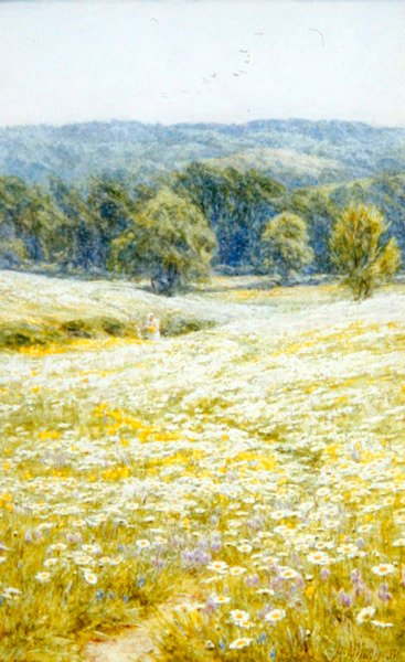 Oxeye Daisies, poblíž Westerham, Kent (akvarel na papíře) od Helen Allingham