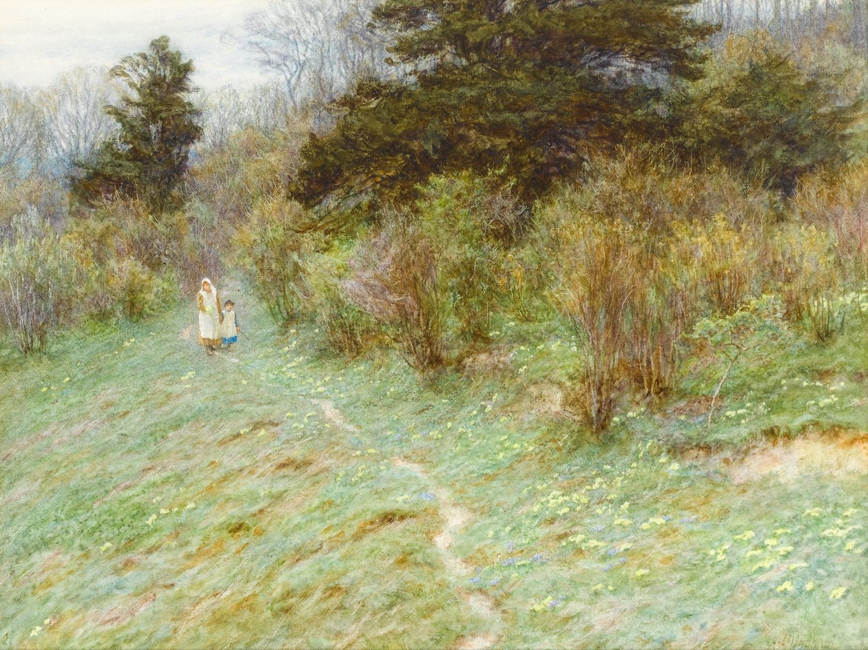 Primroses na Surrey Heath (wc na papíře) od Helen Allingham