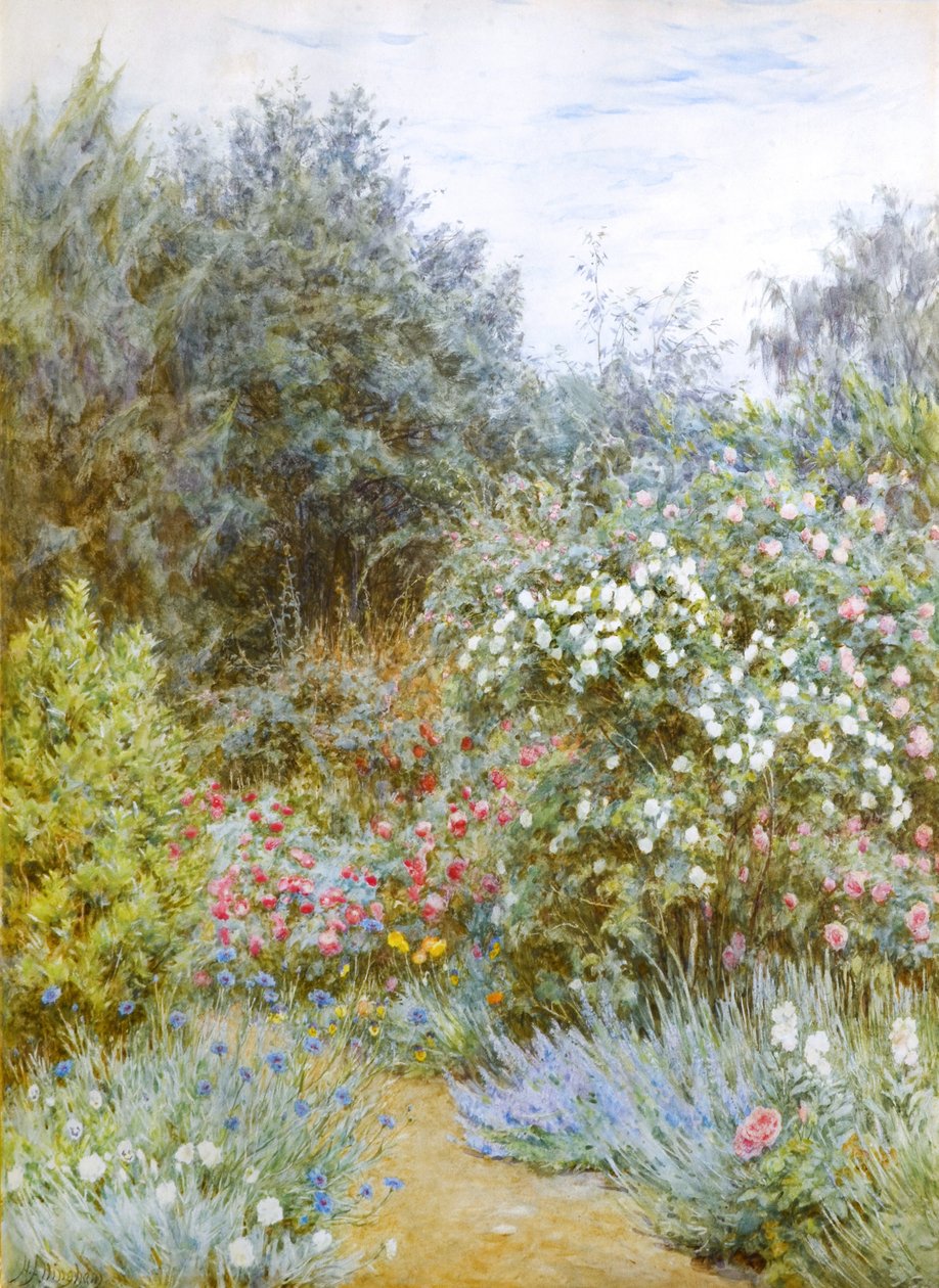 Růže v zahradě Gertrudy Jekyll, Munstead Wood, Surrey (akvarel) od Helen Allingham