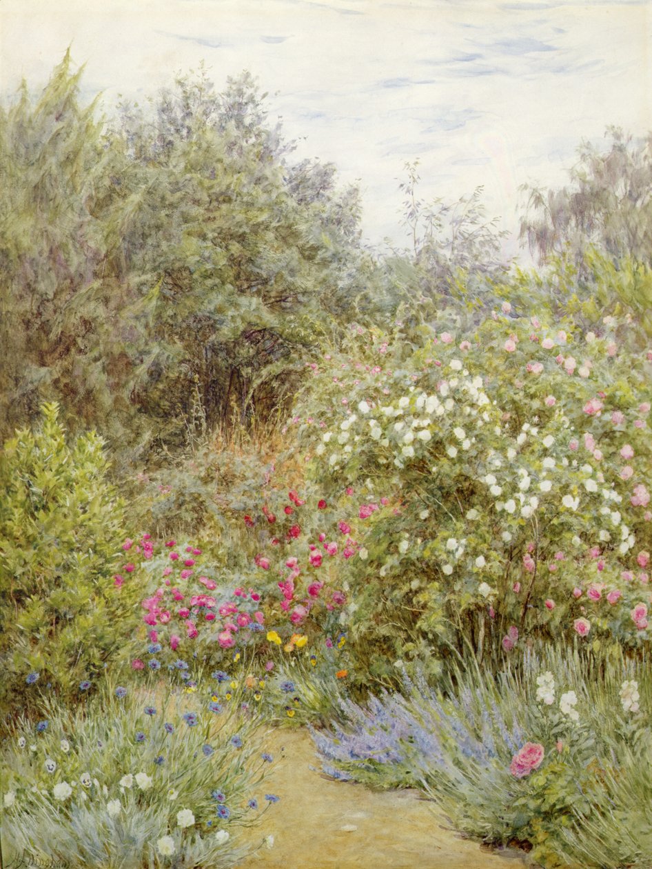 Růže v zahradě Gertrudy Jekyll, Surrey (akvarel na papíře) od Helen Allingham