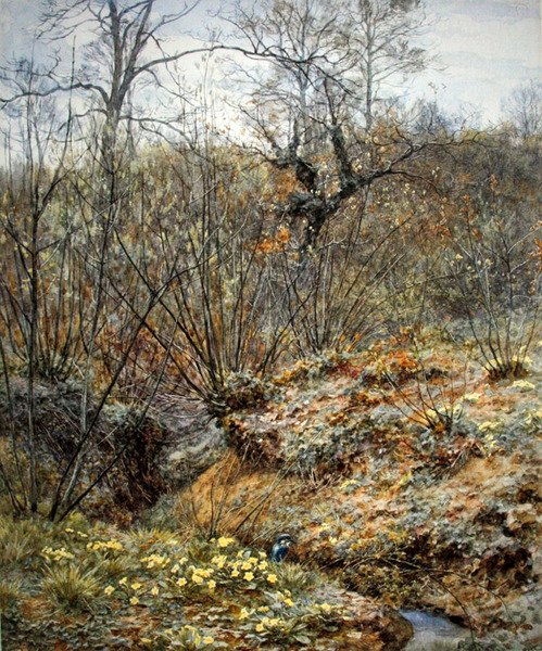 Jarní mlází, Witley, Surrey (akvarel na papíře) od Helen Allingham