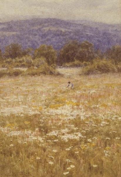 Letní květiny od Helen Allingham