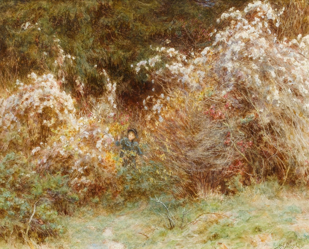 Travelers Joy: A Surrey Hedgerow (wc na papíře) od Helen Allingham