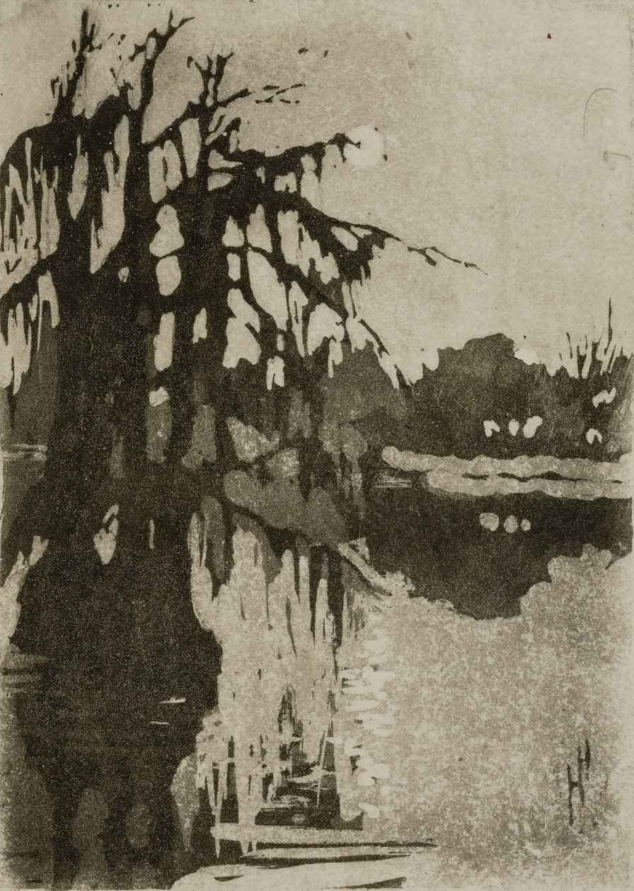 Cypřišové stromy od Helen Hyde