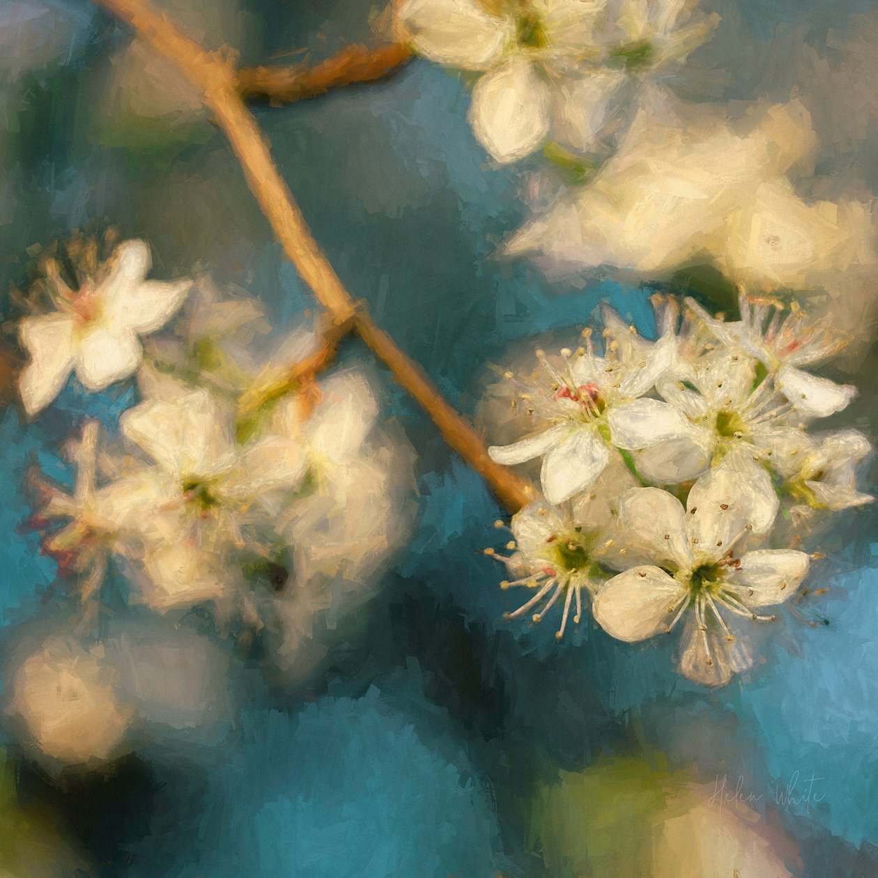 Apple Blossom, 2019 od Helen White