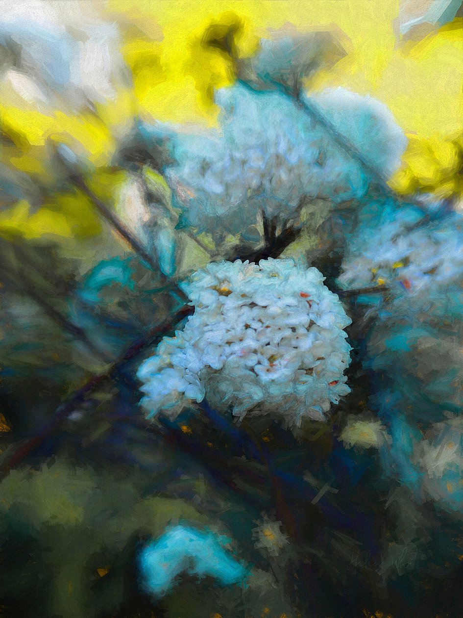 Kvetoucí květen, 2019 od Helen White
