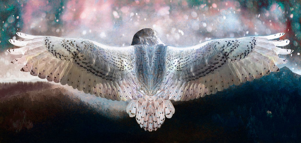 Dare to Fly, 2019 od Helen White