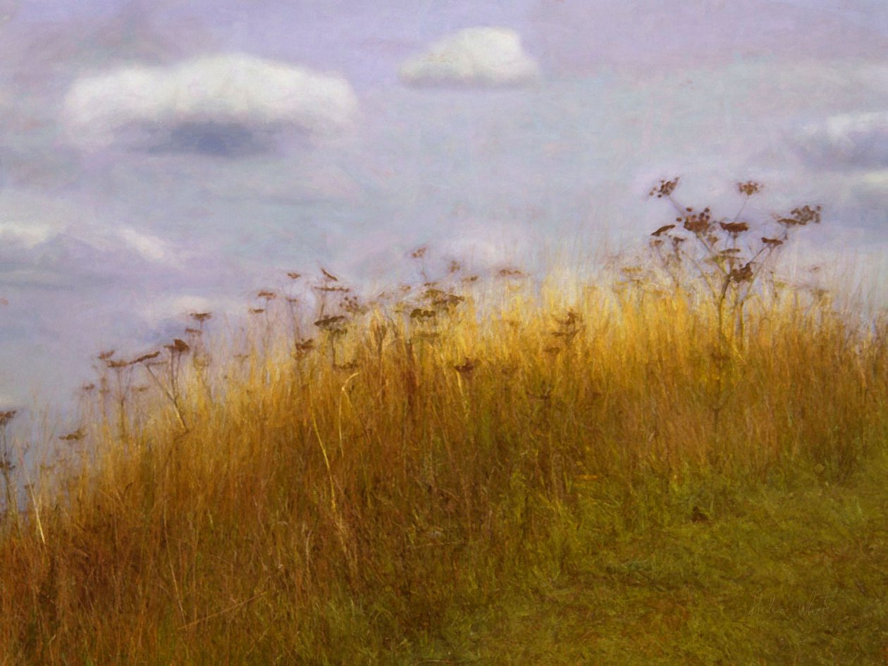 Driftování, 2019 od Helen White