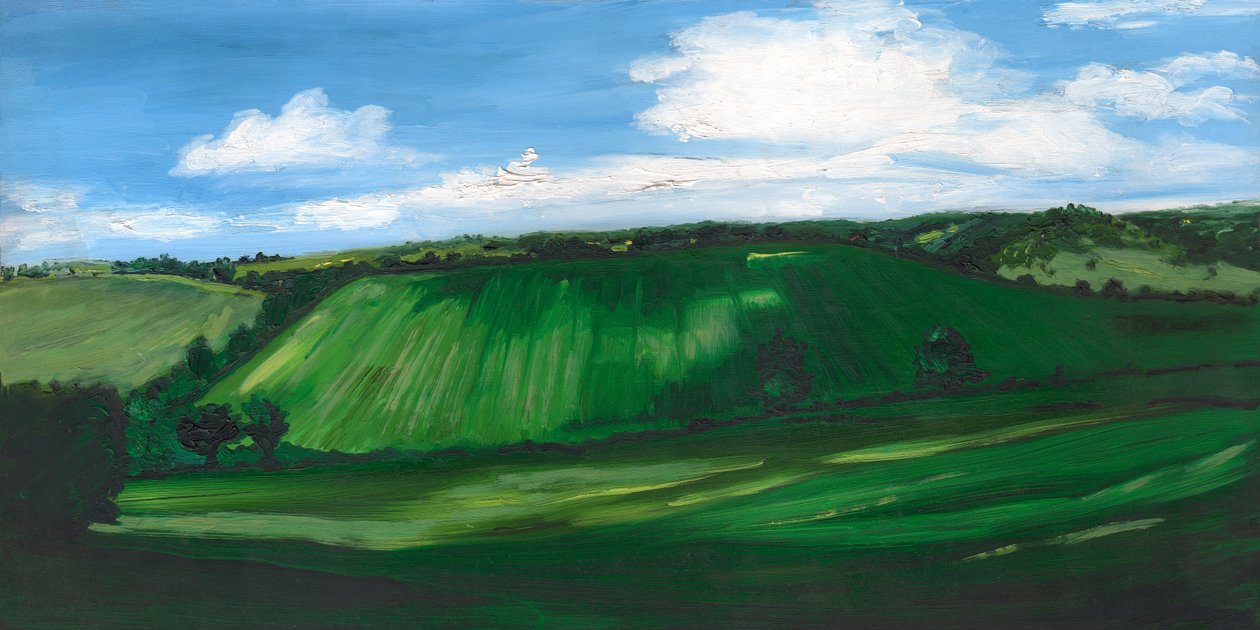 Zelená a příjemná země, 2008 od Helen White