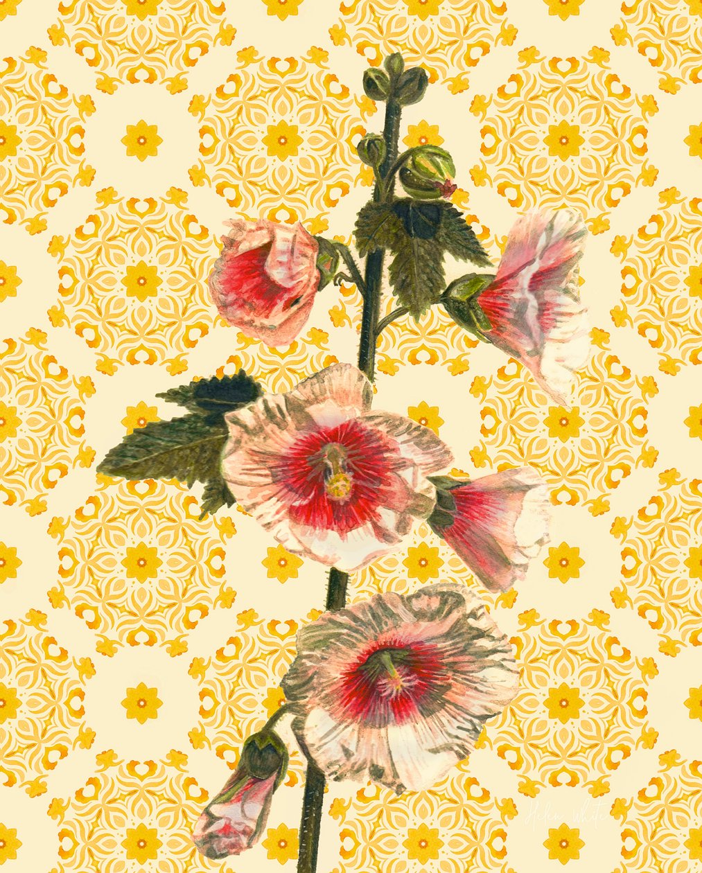 Hollyhocks on Sunshine, 2021 (akvarel) od Helen White
