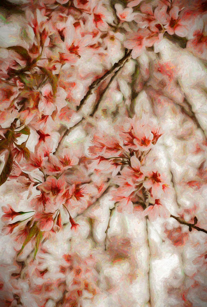 Orientalis, 2020 od Helen White