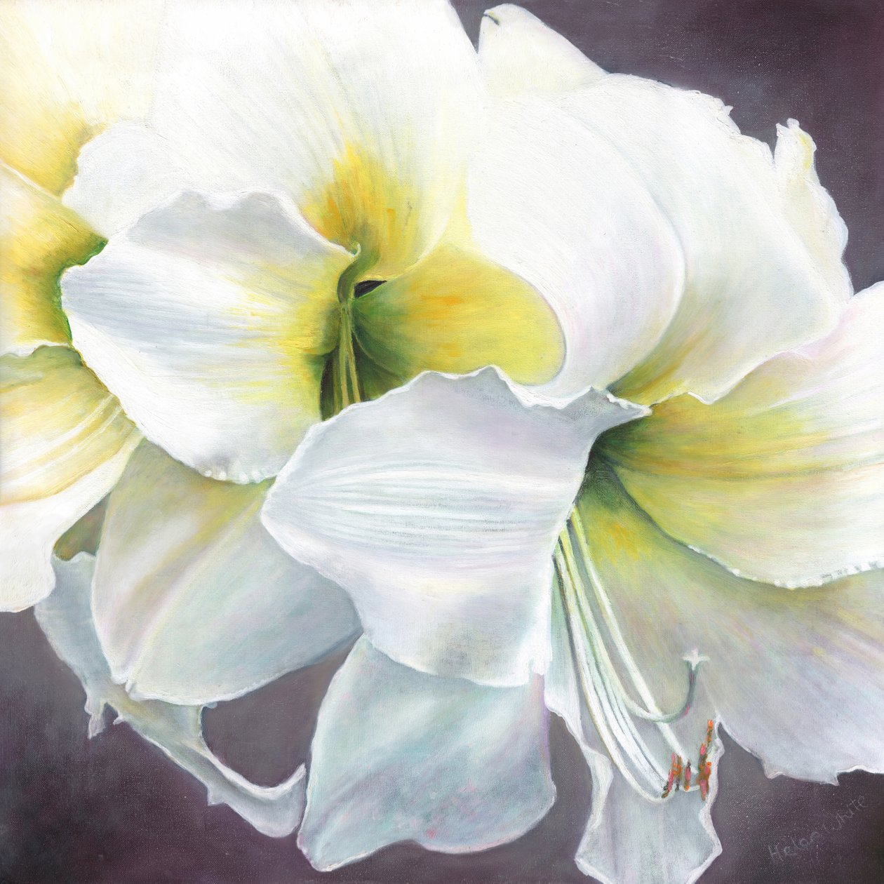 Čistý potenciál, 2016, od Helen White