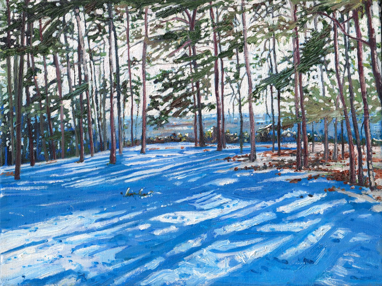 Snowy Ridge, 2009 od Helen White