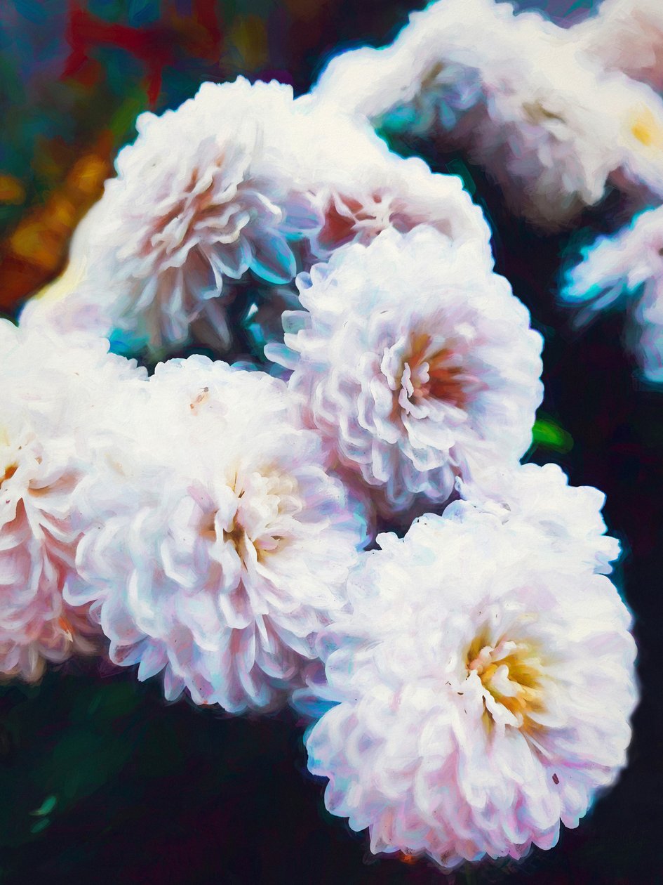 Softly Softly, 2020 od Helen White