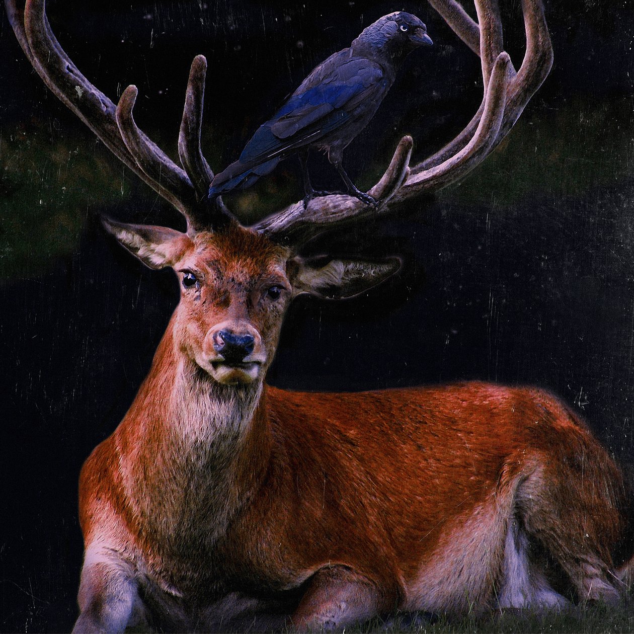 Spřízněné duše, 2018, od Helen White