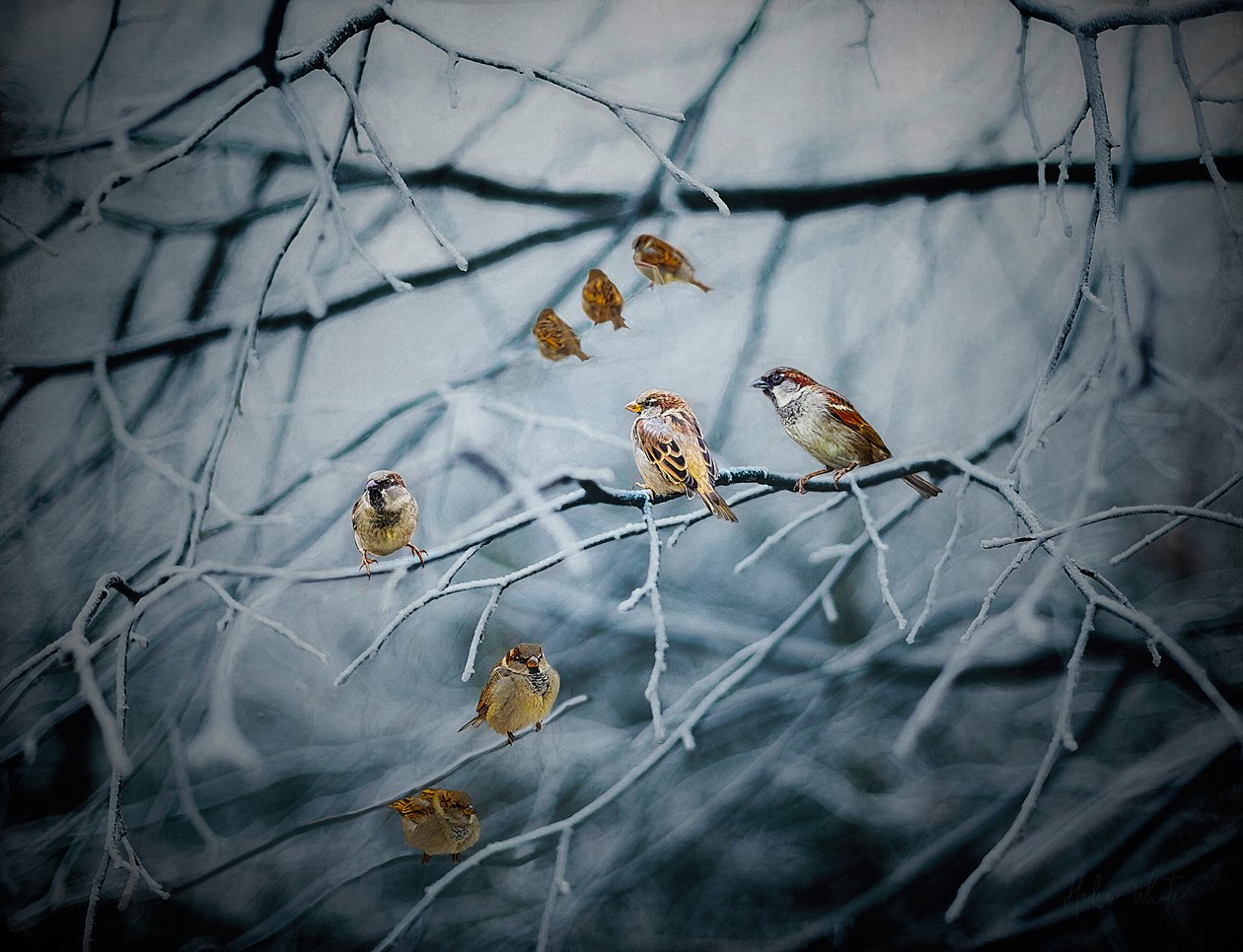 Hemží se životem, 2019 od Helen White