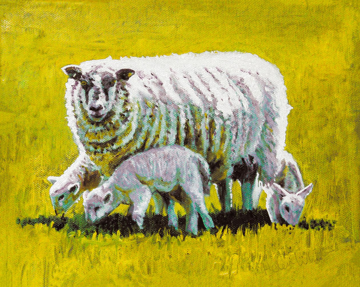 Společně, 2009 (olej na plátně) od Helen White