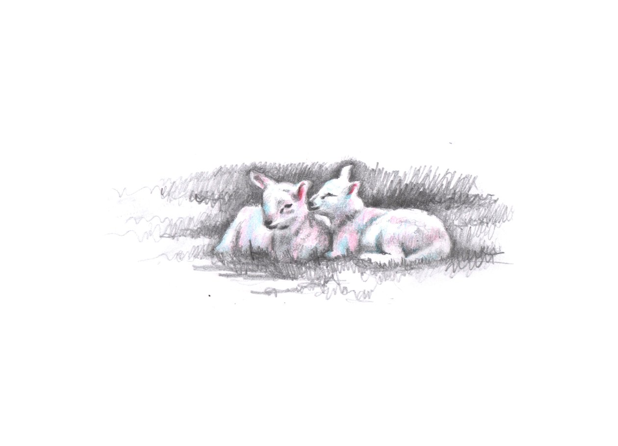 Twinned, 2016, (kresba tužkou) od Helen White