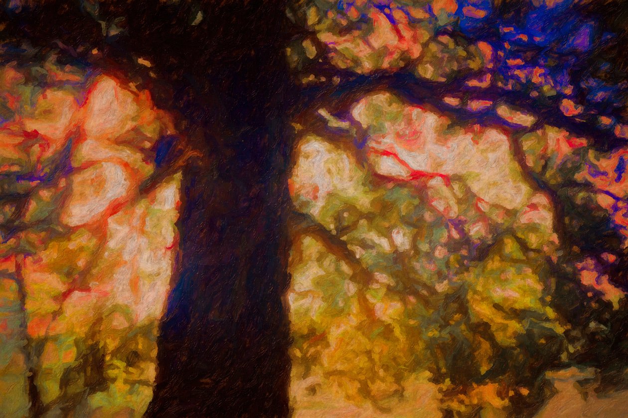 Under Spreading Oak, 2019 od Helen White