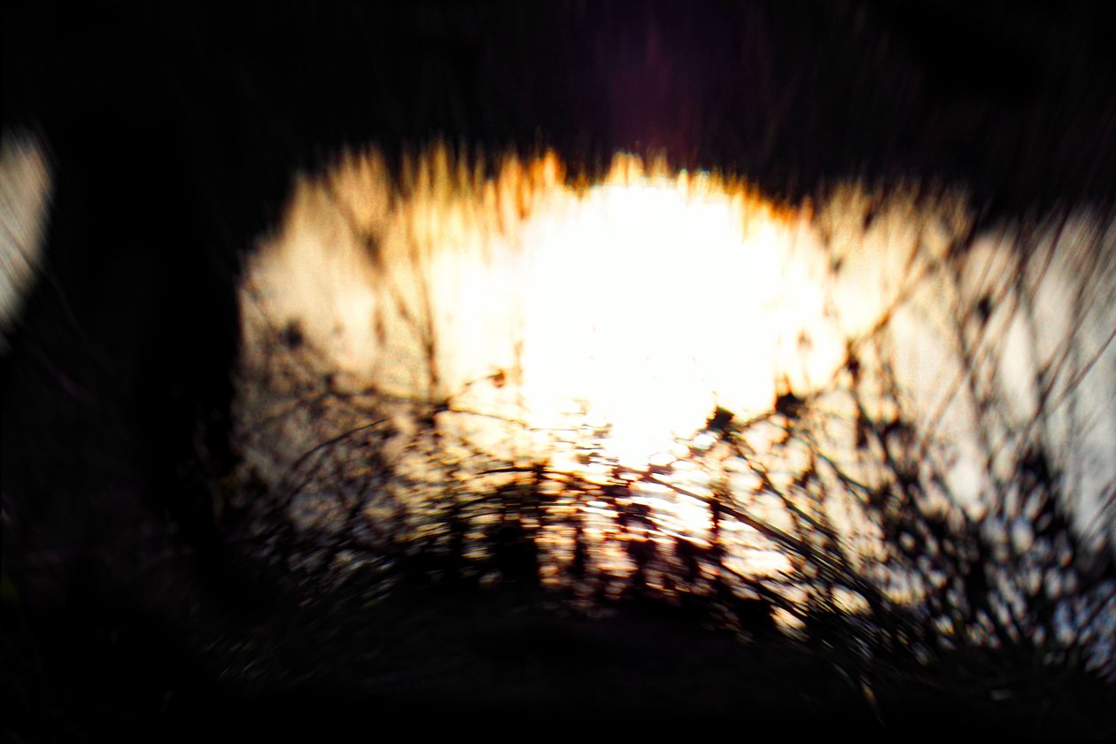 Vodní tapiserie II, 2017, (manipulovaná fotografie) od Helen White