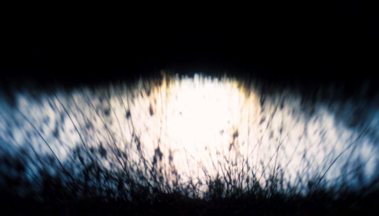 Vodní tapiserie IV, 2017, (manipulovaná fotografie) od Helen White