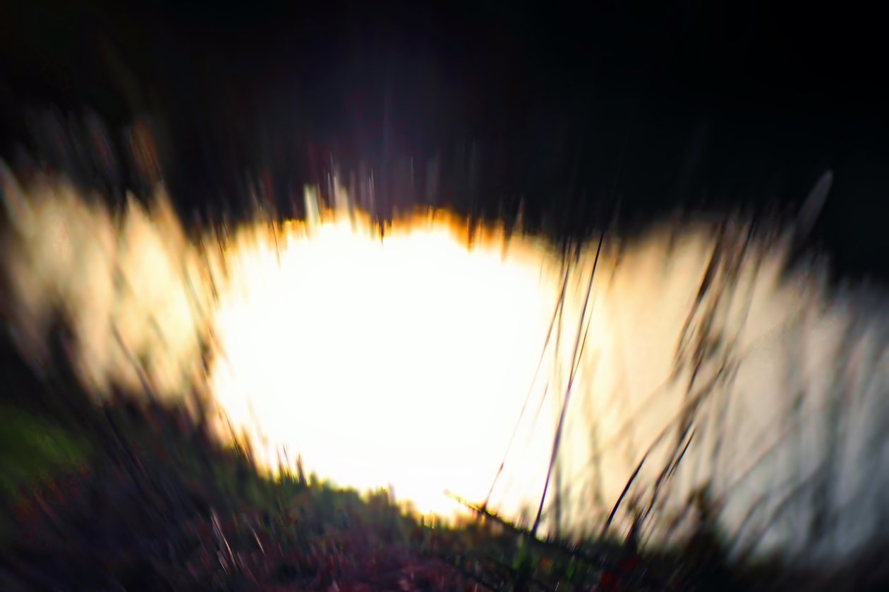 Vodní tapiserie I, 2017, (manipulovaná fotografie) od Helen White