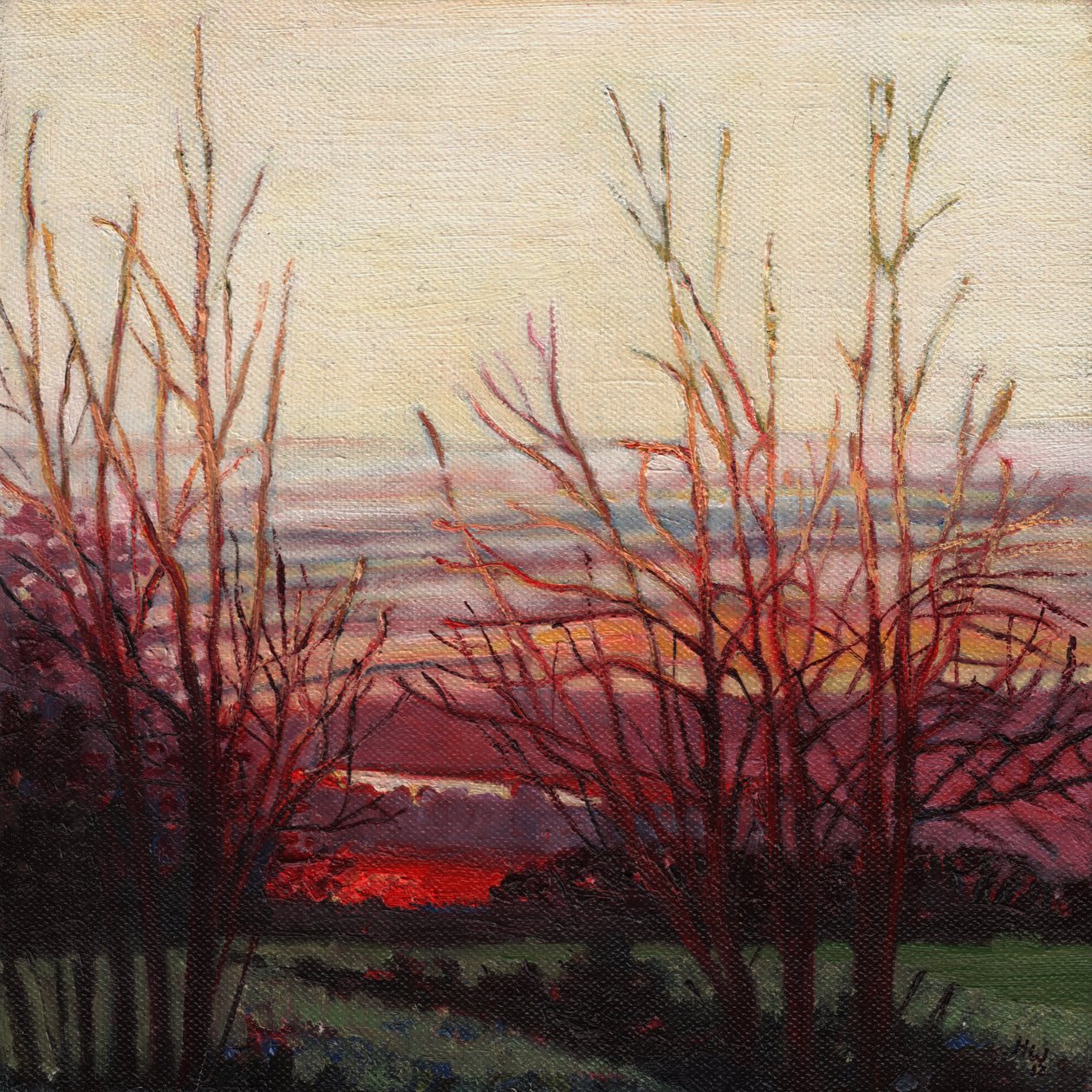 Winters light, 2012, od Helen White