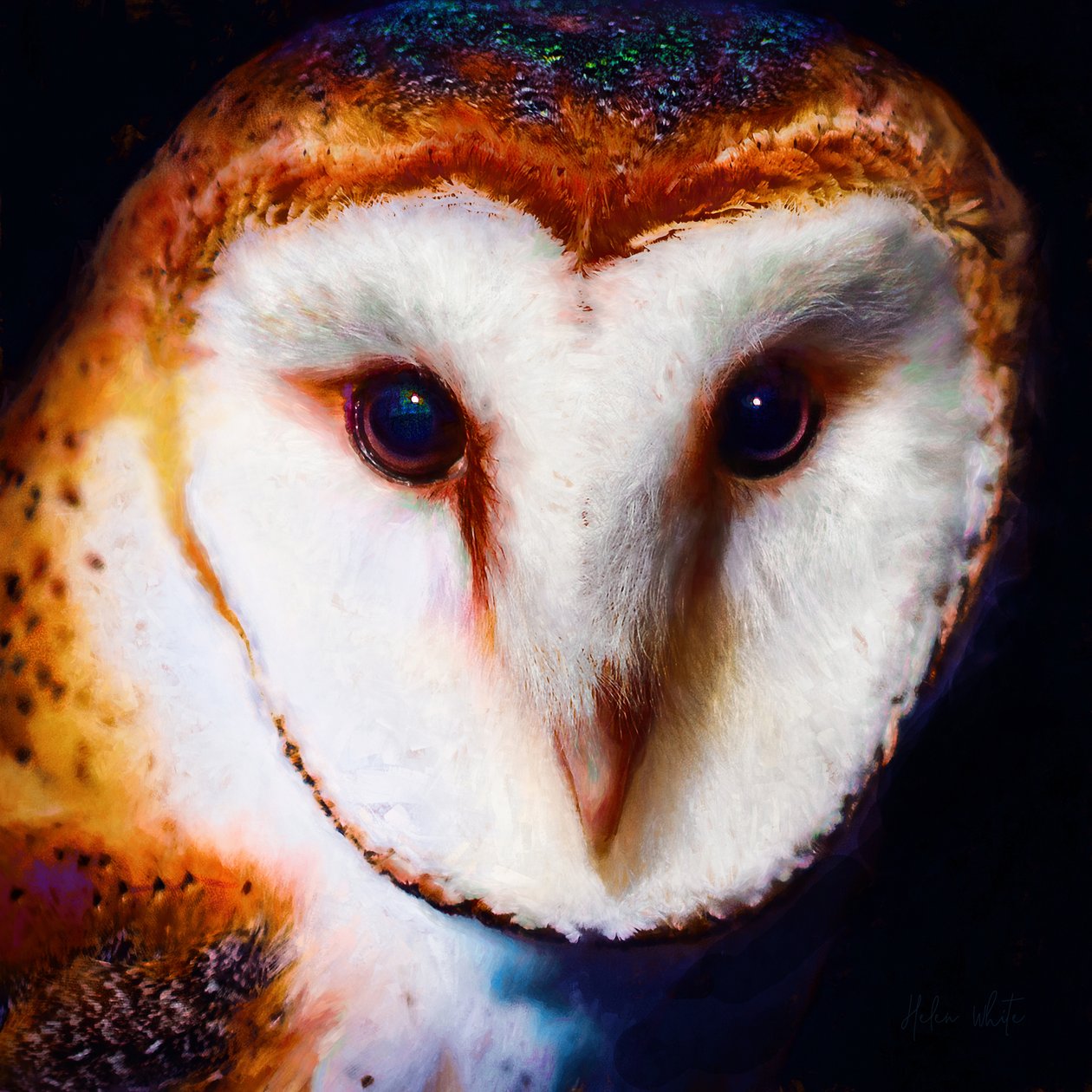 Wisdom in the Dark, 2019 (kombinovaná média) od Helen White