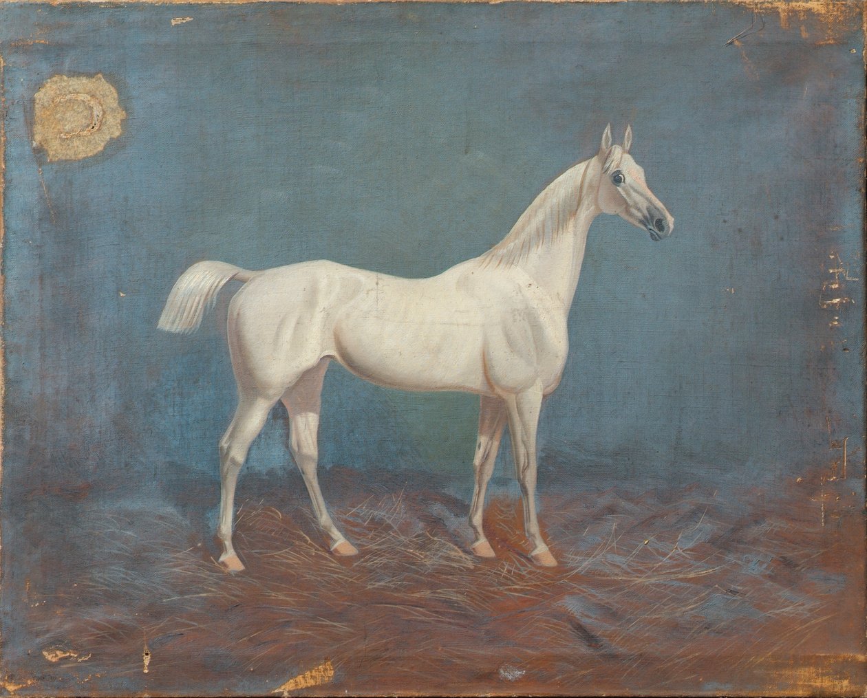 Forma od Hema A. Groy
