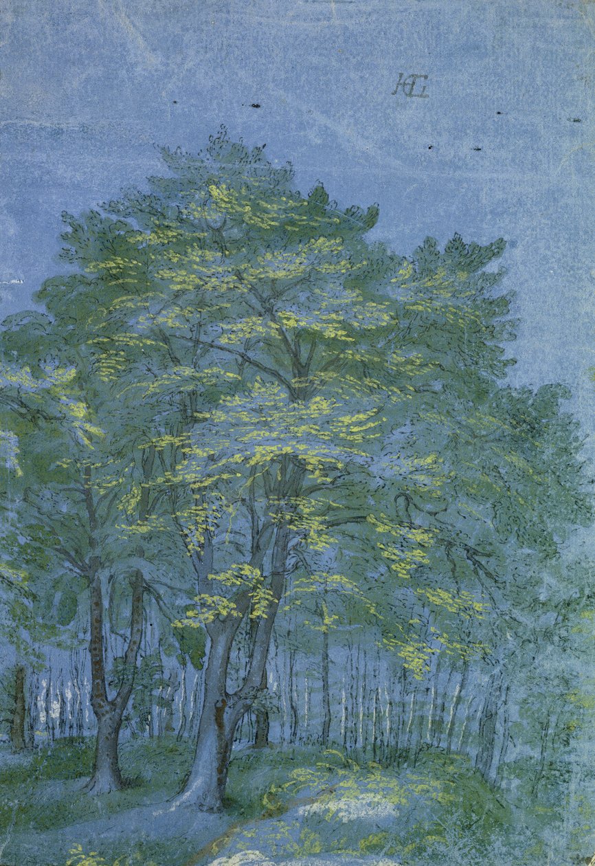 Skupina stromů ve dřevě, cca 1600 (pero a inkoust a mytí na papíře) od Hendrik Goltzius