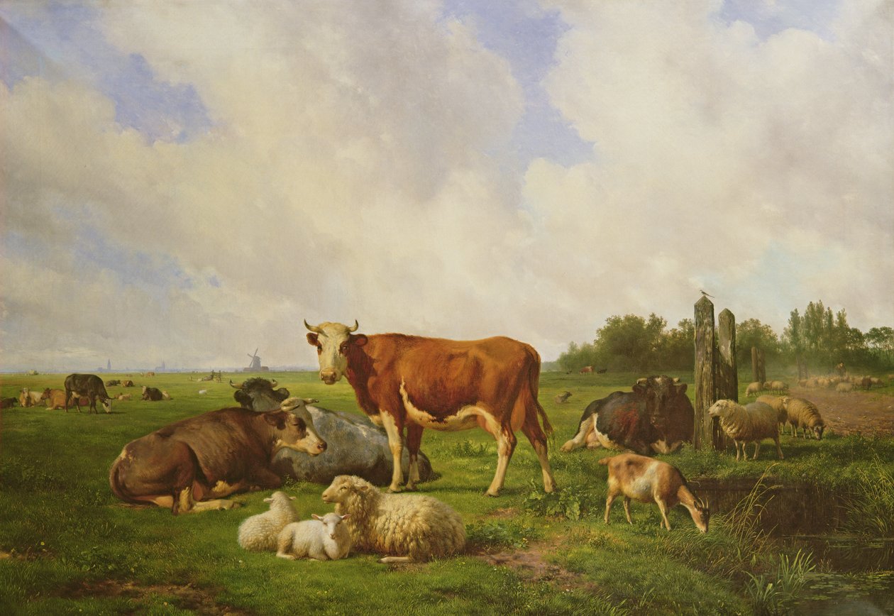 Ovce a dobytek v poli od Hendrick van de Sande Bakhuyzen