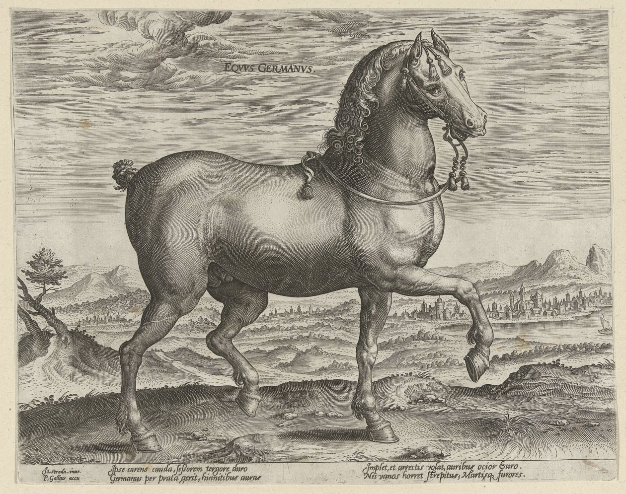 Hřebec z Německa Eqvvs Germanvs (název na objektu) Plemena koní z královské stáje Dona Juana z Rakouska (název seriálu) Equile Ioannis Austriaci Caroli (název série) od Hendrick Goltzius (possibly)