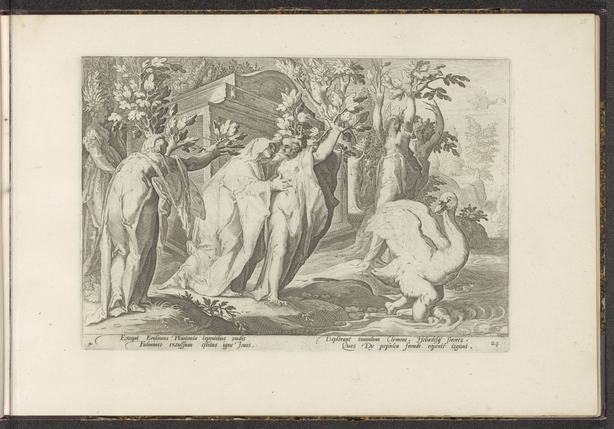 Phaëthonovy sestry se promění v topoly a jeho přítel v labuť Ovidiovy metamorfózy (název série) Re-creations P. Ovidius Naso (název série) od Hendrick Goltzius (workshop of)