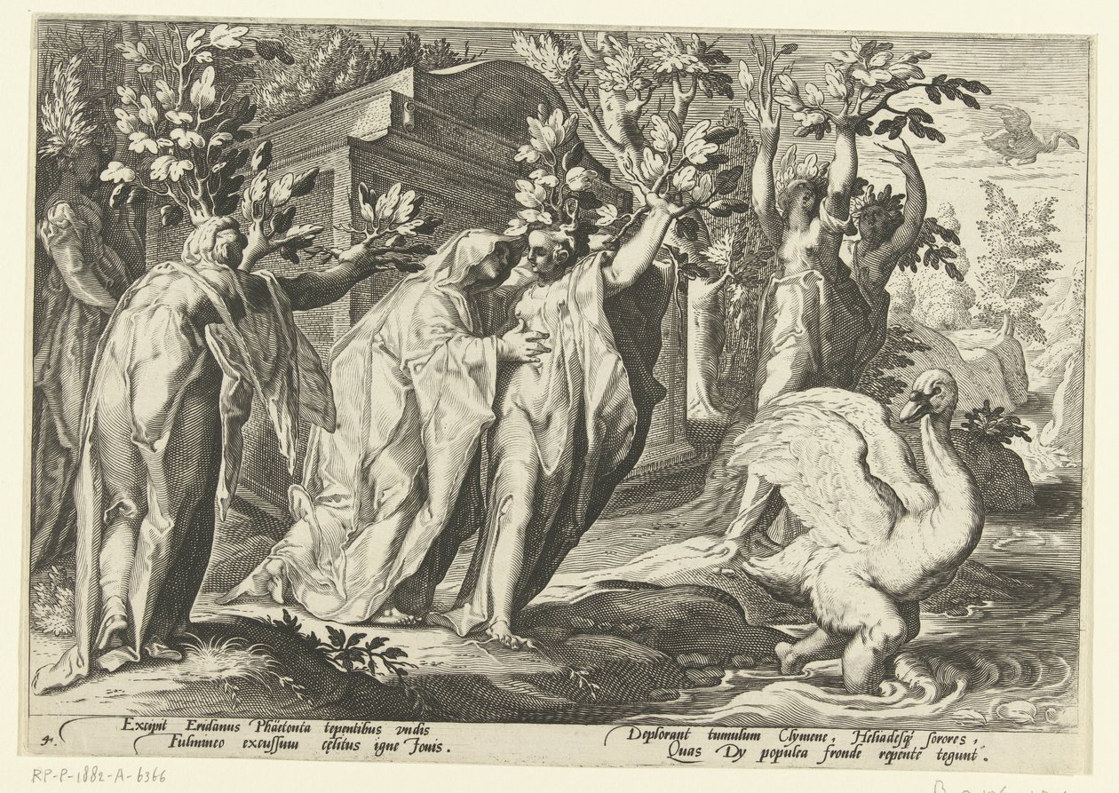 Phaëthonovy sestry se promění v topoly a jeho přítel v labuť Ovidiovy metamorfózy (název série) od Hendrick Goltzius (workshop of)